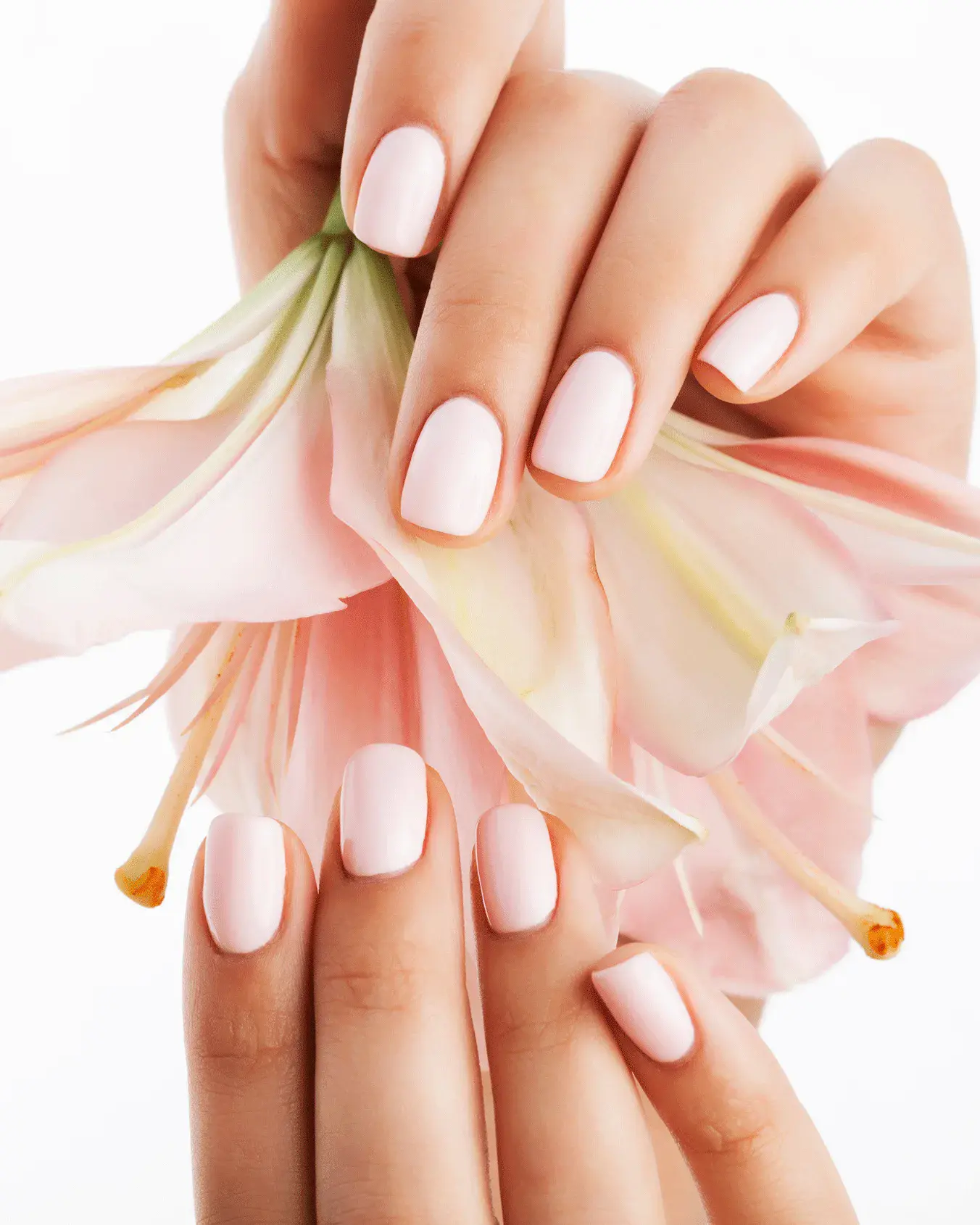 tırnak bakım edirne